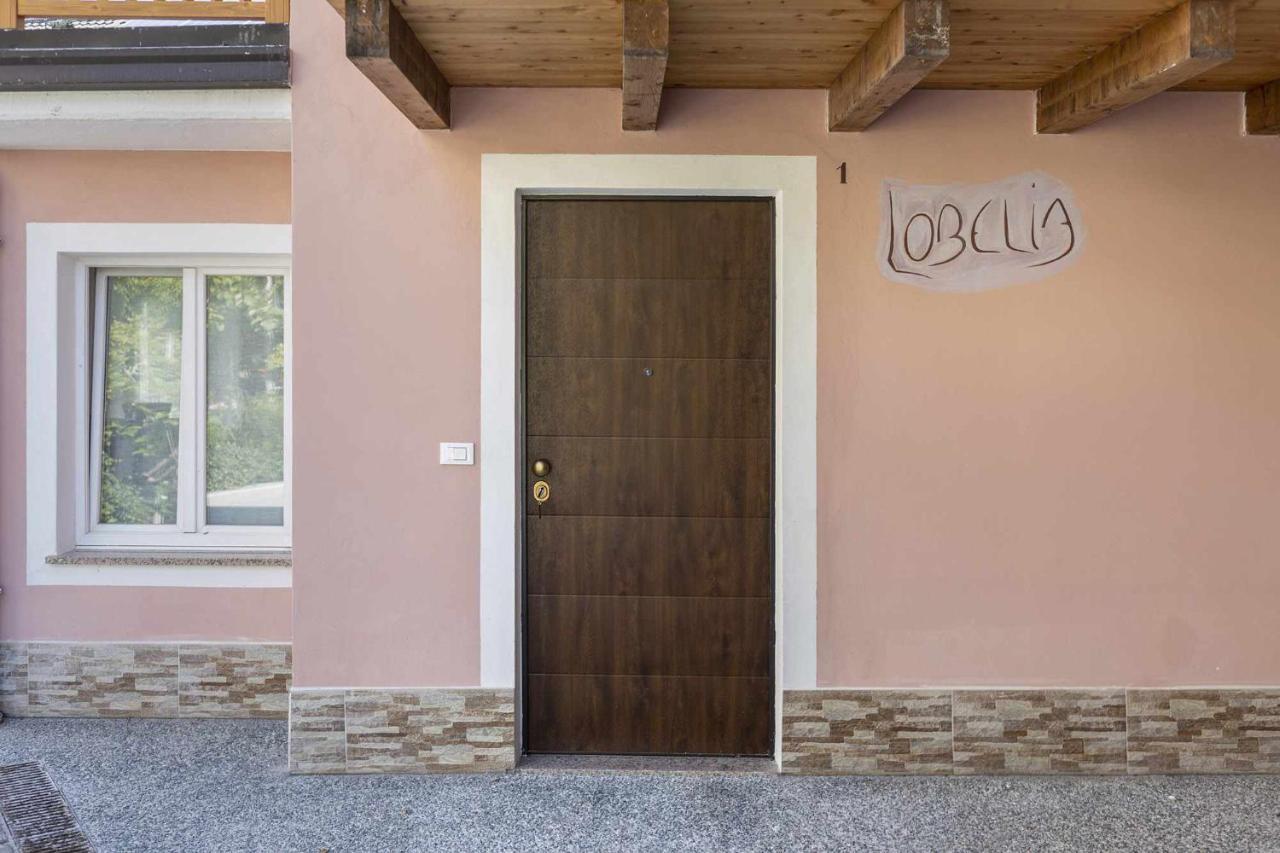 شقة Agritur Horizon Carzano  المظهر الخارجي الصورة